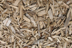 biomass boilers Spennymoor